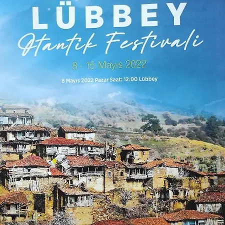 Lubbey Butik Pensiune Dolaylar
