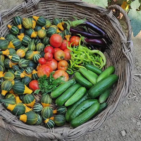 Lubbey Butik Dolaylar