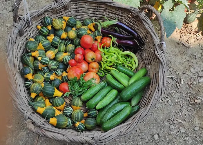 Lubbey Butik Dolaylar