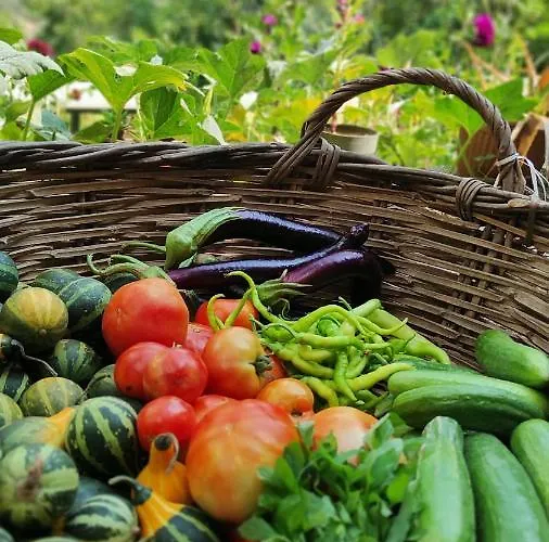 Lubbey Butik Dolaylar